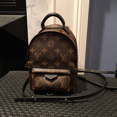 louis vuitton palm springs backpack|louis vuitton monogram mini backpack.